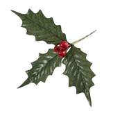 Kerstproject